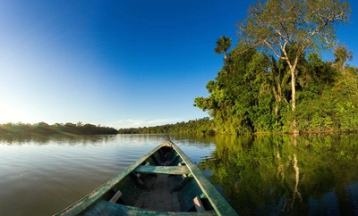 Im Tambopata-Naturreservat - christian vinces - © christian vinces / Adobe.com