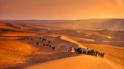 In den Dünen der Wahiba Sands - Johannes Müller