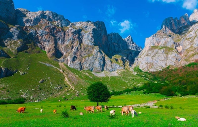 In den Picos de Europa - SHD / Adobe.com - © SHD / Adobe.com