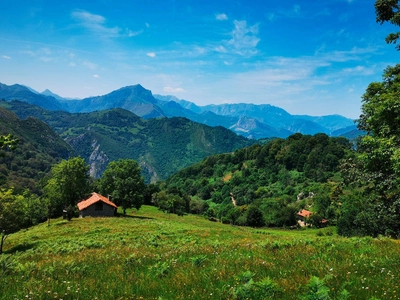 In den Picos de Europa - Peter Bartel