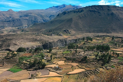 Inka-Terrassen im Colca Canyon - Raúl Medina