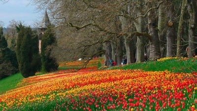 Insel Mainau - Elke Böhm