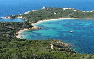 Insel Porquerolles - Office de Tourisme de Hyères - ©Credit Photo Office de Tourisme de Hyères