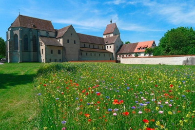 Insel Reichenau - Elke Böhm