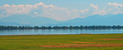 Kerkini-See - Maxim Podobed