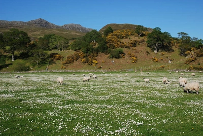 Kerrysdale bei Gairloch - Gerd Thiel