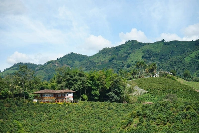 Kolumbiens Kaffeeregion - ProColombia - © ProColombia