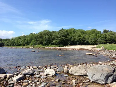 Küste in der Region Norrtälje - Moritz Mohs