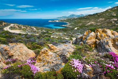 Küstenwanderung bei Calvi - ZoltanJozsef - © ZoltanJozsef / Adobe.com