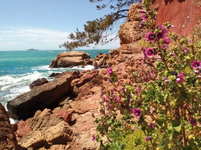 Küstenwanderung bei Sanary-sur-Mer - David Schulte