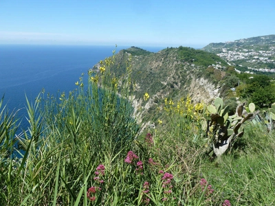 Küstenabschnitt auf Ischia - Diana Ruttar