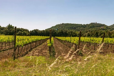 Landleben - Arthur Selbach - © Arthur Selbach