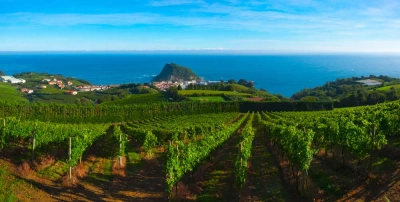 Landschaft bei Getaria - poliki / Adobe.com - © poliki / Adobe.com