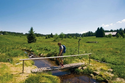 Landschaft im Böhmerwald - Darek Wylezol