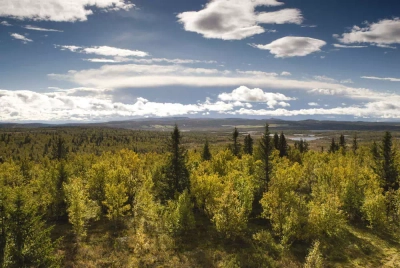 Landschaft rund um Gålå - Hotel Wadahl