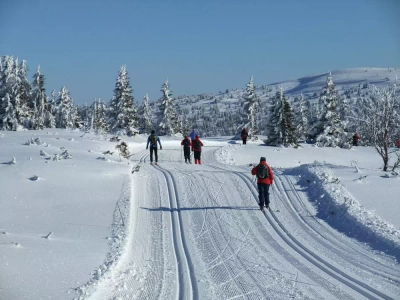 Langläufer - Idhuna Barelds