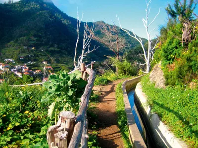 Levada auf Madeira - Kerstin Berg