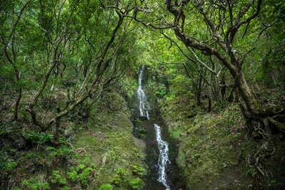 Levada dos Tornos - Dominik Ketz