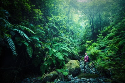 Levada dos Tornos - Dominik Ketz