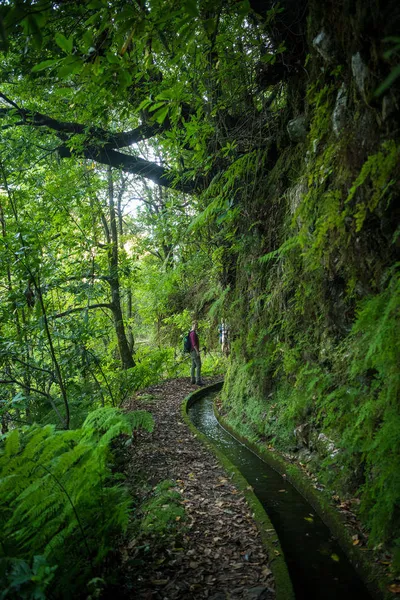 Levada dos Tornos - Dominik Ketz