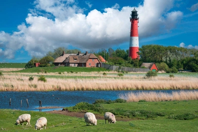 Leuchtturm von Pellworm - alfotokunst - © alfotokunst /adobestock.com