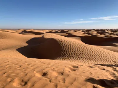 Licht- und Schattenspiel auf den Sanddünen - Nadine Burgard