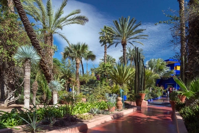 Majorelle-Garten - Klaus Hoffmann