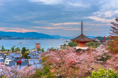 Miyajima bei Kirschblüte - SeanPavonePhoto - © SeanPavonePhoto / Adobe.com