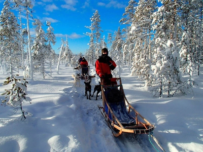 Mit unseren Huskys unterwegs - Lapplands Drag