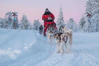 Mit unseren Huskies on tour - - © Harriniva Hotels & Safaris