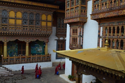 Mönche im Punakha Dzong - Frederik Schwall