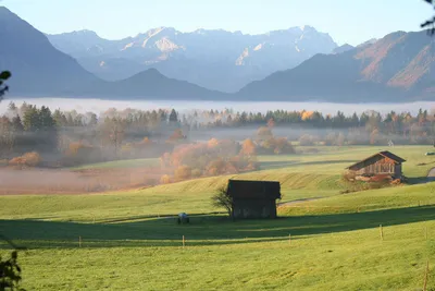 Mooslandschaft im Herbst - Touristinformation Murnau - © Touristinformation Murnau