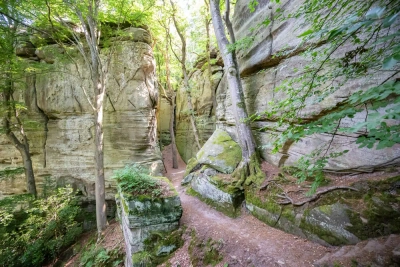 Müllerthal Felsenweg - Mike Workman - © Mike Workman / Adobe.com