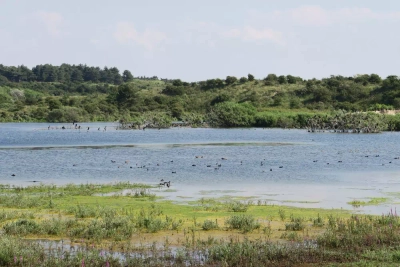 Nationalpark Kemmenerduinen - Wolfgang Schwartz