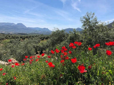 Naturpark Sierra Subbética - Angelika Stackler