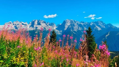 Panorama Brenta-Dolomiten - Jürgen Husch