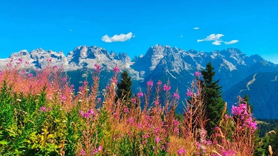 Panorama Brenta-Dolomiten - Jürgen Husch