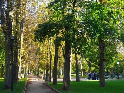 Park in Paris - David Schulte