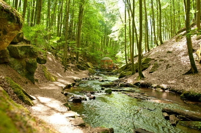 Pfälzer Waldpfad Karlstalschlucht bei Trippstadt - Dominik Ketz