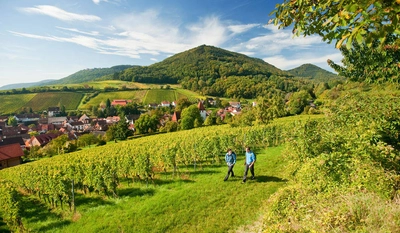 Pfälzer Weinsteig Leinsweiler - Rheinland Pfalz Tourismus GmbH - © Rheinland Pfalz Tourismus GmbH