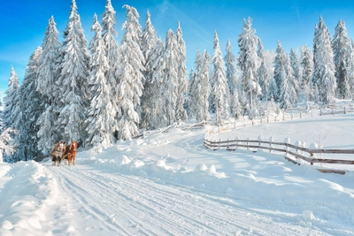 Pferdeschlitten in Transsilvanien - Moian Adrian - © Moian Adrian / adobe.com