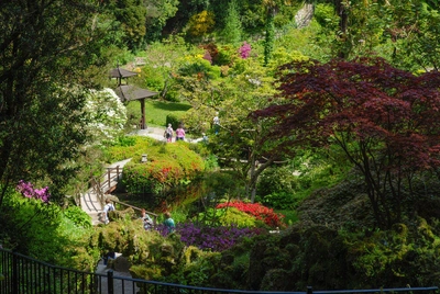 Powerscourt Garden - Gerd Thiel