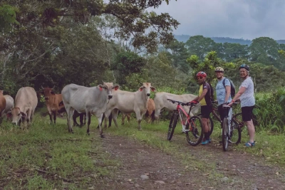 Radtour im ländlichen Costa Rica - Tierra Verde