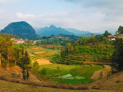 Reisterrassen Bac Ha - Lisa Thomasberger