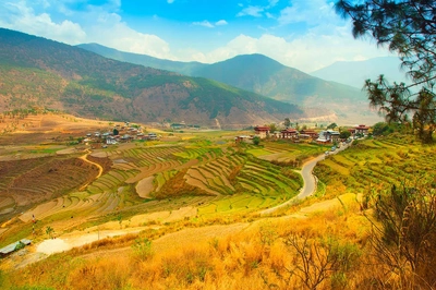 Reisterrassen bei Punakha - olmoroz - © olmoroz / Adobe.com