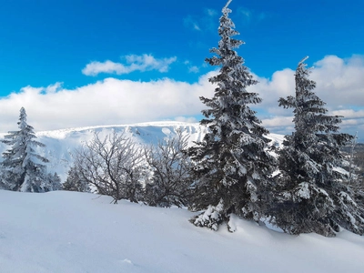 Riesengebirge - Patrycja Werecka