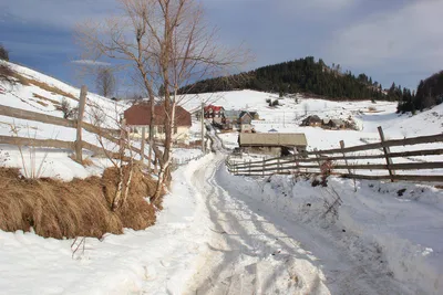 Rumänisches Dorf im Winterkleid - Susanne Gotthardt