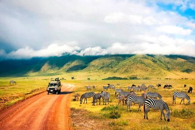 Safari im Ngorongoro-Krater - delbars / Adobe.com - © delbars / Adobe.com