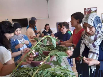 Safi Kitchen - Ashtar Tours