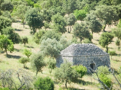 Schäferei in der Provence - Sentoline